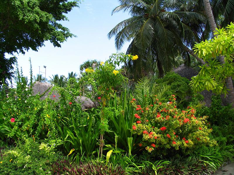 Kuramathi (34).jpg